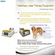 Small pet pain relief